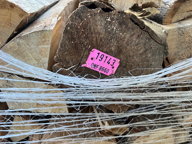 Hainbuchen-Brennholz 50 cm trockene Scheite auf Palette – Bild 2