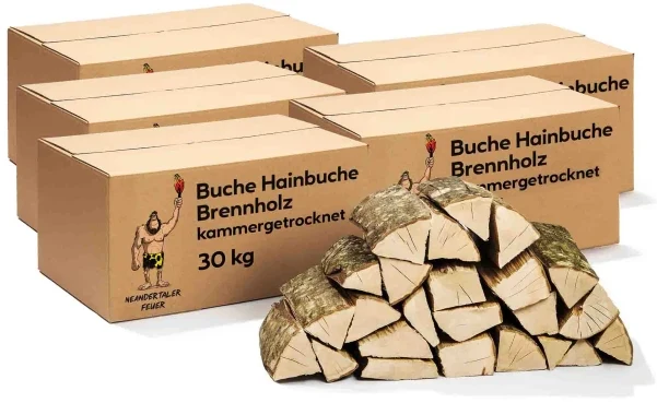Brennholz Buche Hainbuche 180kg